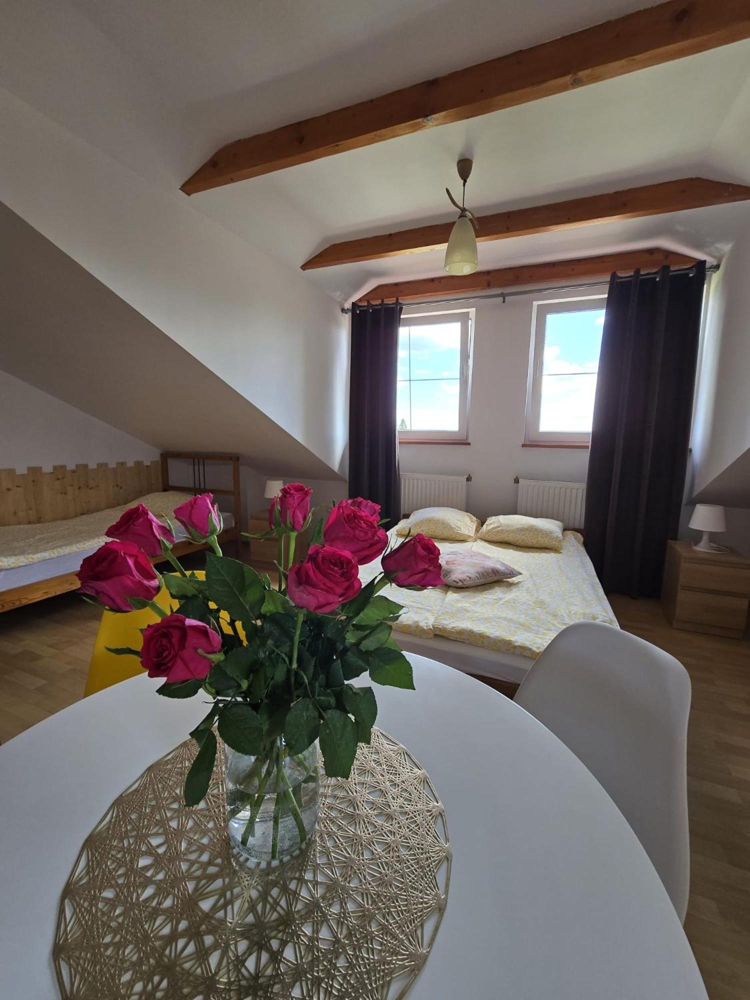 Villa Mango Wladyslawowo Chlapowo Екстер'єр фото